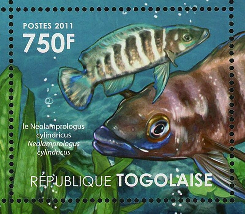 Ecosystem Tanganyika Lake Stamp Fish Tropheus Neolamprologus S/S MNH #4181-4184