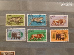 Guinea	animals (F4)