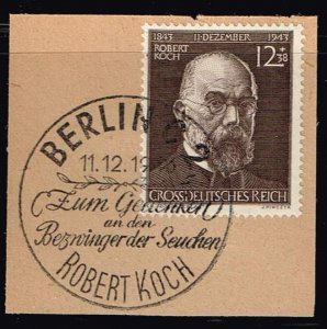 Germany,Sc.#B251 used, Dr. Robert Koch (1843-1910), Physician and Bacteriologist