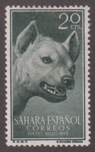 Spanish Sahara 88  Striped Hyena 1956