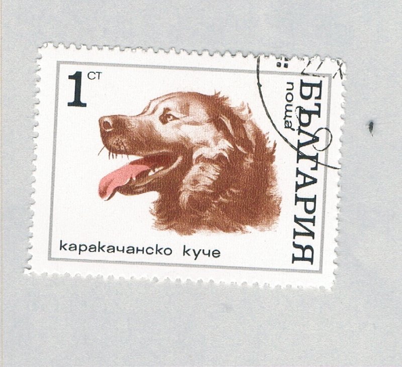 Bulgaria Dog bis 1c (AP132109)