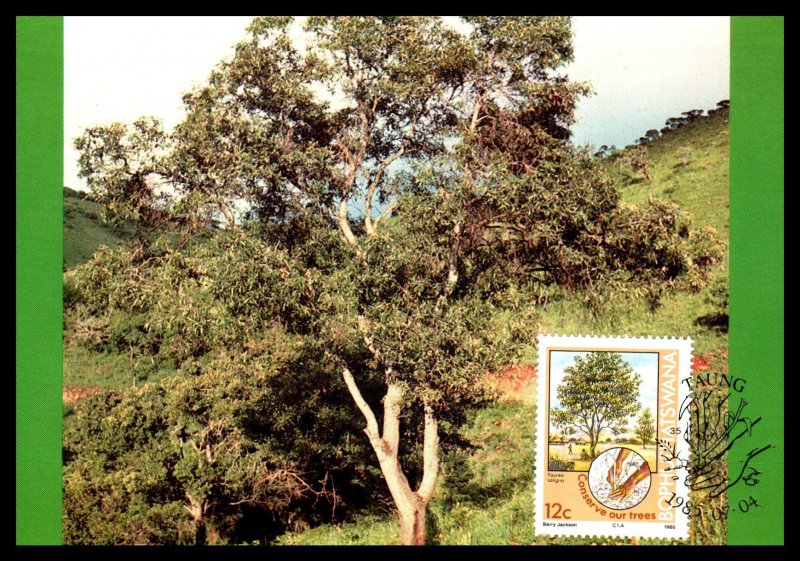 Bophuthatswana 169-172 Trees Set of Four Maxi Cards U/A FDC