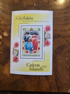 Stamps Turks and Caicos-Caicos