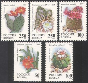 Russia 1994 Indoor Plants Cacti Flower Cactus Cactusses Nature Stamps Mi 364-368