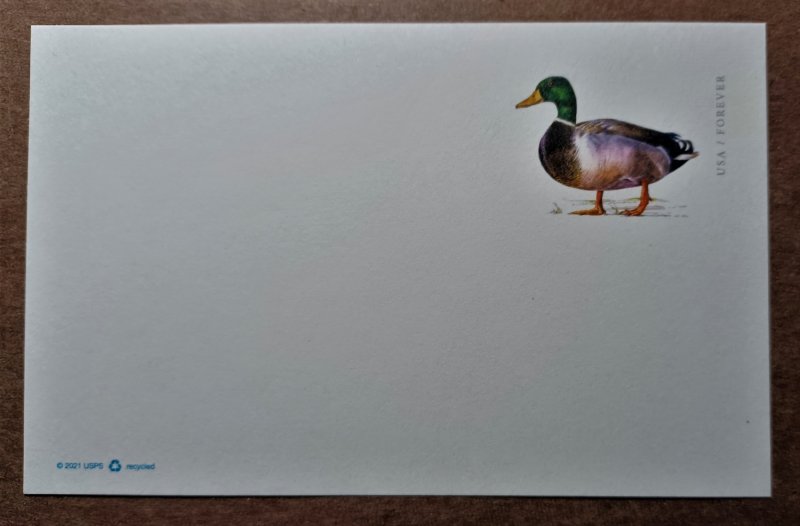 United States #UX648 (40c) Mallard Postal Card MINT (2021)