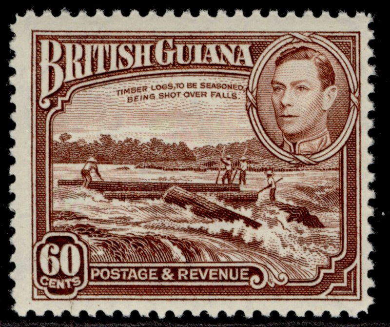 BRITISH GUIANA GVI SG315, 60c red-brown, NH MINT. Cat £24.