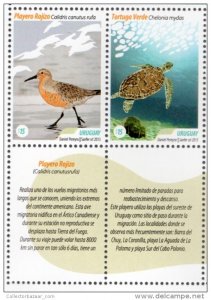 2013 URUGUAY  Bird Calidris Canutus rufa Moon Bird & Marine Turtle Chelonia M...