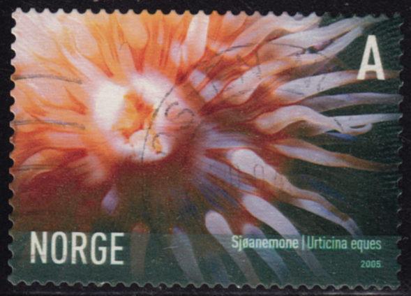 Norway - 2005 - Scott #1441 - used - Marine Life