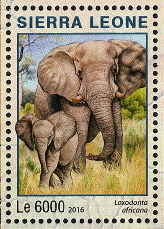 Park Chobe Stamp Botswana Loxodonta Africana S/S MNH #7222-7225