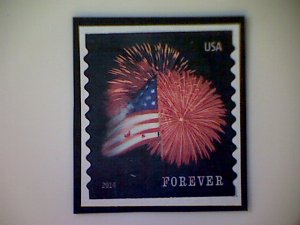 United States, Scott #4854, used(o), 2014, Flag and Fireworks, (49¢)