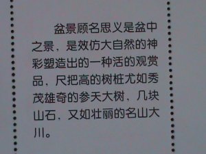 ​CHINA-CHINESE CULTURE DECORATION-BONSAI ARTS -MNH-S/S VERY FINE-LAST ONE