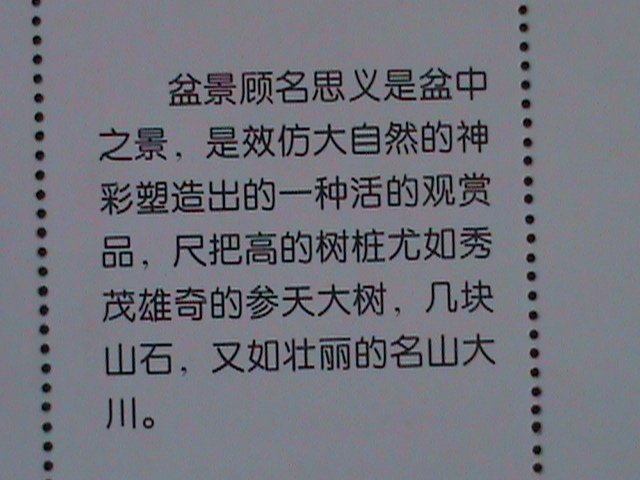 ​CHINA-CHINESE CULTURE DECORATION-BONSAI ARTS -MNH-S/S VERY FINE-LAST ONE