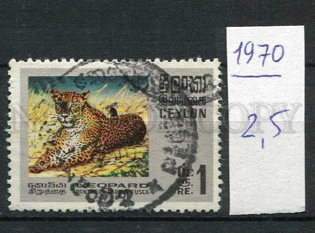 266190 CEYLON 1970 year used stamp Leopard