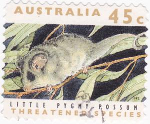 Australia -1992 Threatened Species- Possum- 45c Used 