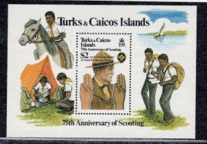 Turks & Caicos #516 MNH - Stamp Souvenir Sheet