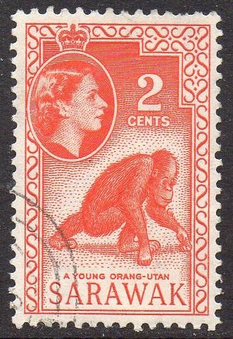 Sarawak 1957 2c Young Orang-Utan used