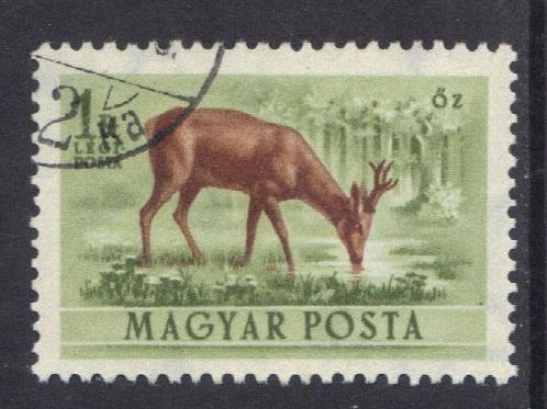 Hungary  1953  used Air forest animals 1fo. roe deer