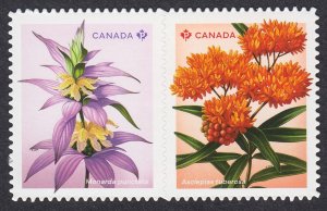 DIE CUT BK pair TYPE-1 = BEEBALM, MILKWEED wildflowers MNH Canada 2024