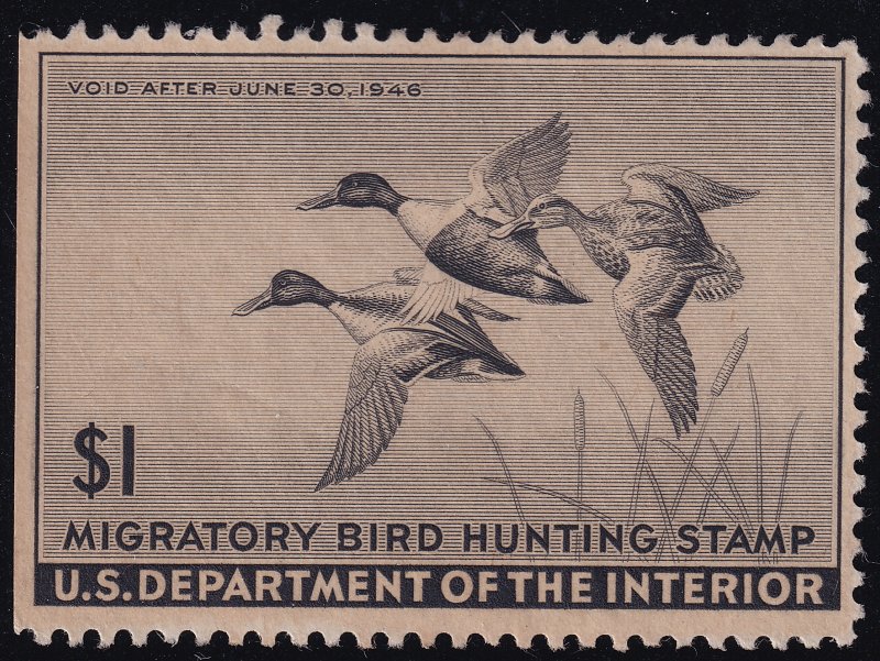 #RW12 Mint NG, F-VF, SE (CV $35 - ID31749) - Joseph Luft