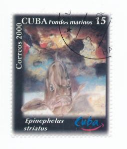 Cuba 2000 Scott 4111 CTO - 15c, Marine Life, tourism day