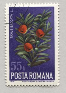 Romania 2515   Used    