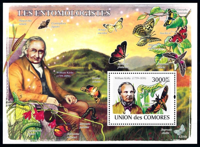 [96698] Comores Comoros 2009 (2008) Insects Butterflies William Kirby Sheet MNH