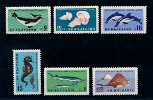 [99338] Bulgaria 1961 Marine life fish seahorse seals dolphins  MNH