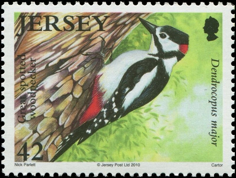 Great Britain Jersey 2010 Sc 1429-1434 Birds Jay Woodpecker Treecreeper CV $9.90