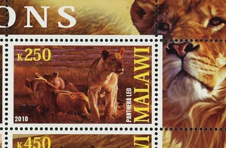 Malawi Lion Panthera Leo Wild Animal Fauna Souvenir Sheet of 4 Stamps Mint NH