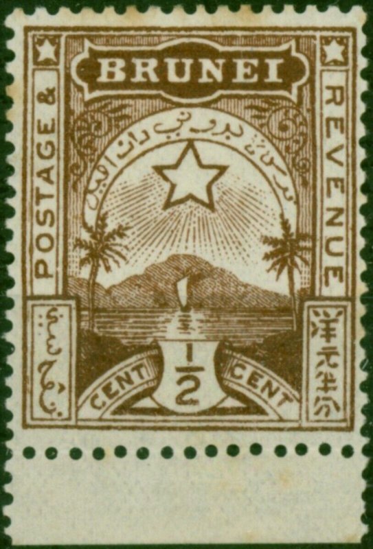 Brunei 1895 1/2c Brown SG1 Position 5/8 Good MM