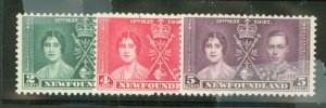 Newfoundland #230-2 Mint (NH) Single