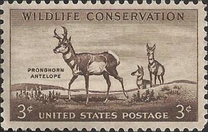 # 1078 MINT NEVER HINGED PRONG HORN ANTELOPE