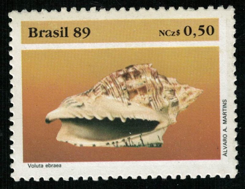 Shell (T-5078)