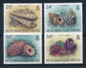 [30344] British Indian Ocean Territory 1996 Marine Life Seashells MNH