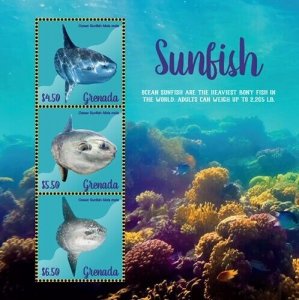 Grenada 2019 - Sunfish Marine Life - Sheet of 3 Stamps - Scott #4319 - MNH