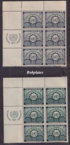 BOBPLATES UN #19-20 Technical Assistance Set Inscription Blocks of 6 NH