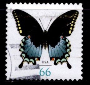 #4736 Spicebush Swallowtail Butterfly (Off Paper) - Used