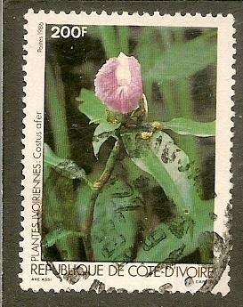 Ivory Coast   Scott 775      Flower