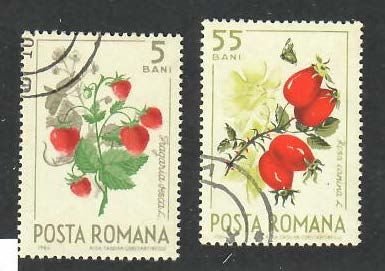 Romania; Scott 1703, 1706; 1964; Precanceled; NH; Flowers