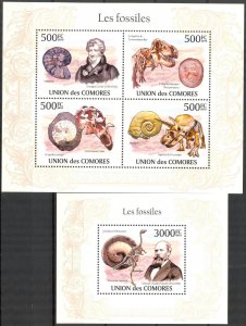 Comoro Islands 2010 Fossils Shells Sheet + S/S MNH