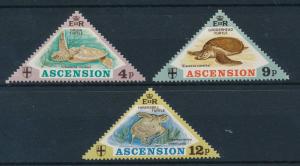 [23909] Ascension 1973 Marine Life Turtles Triangles MLH