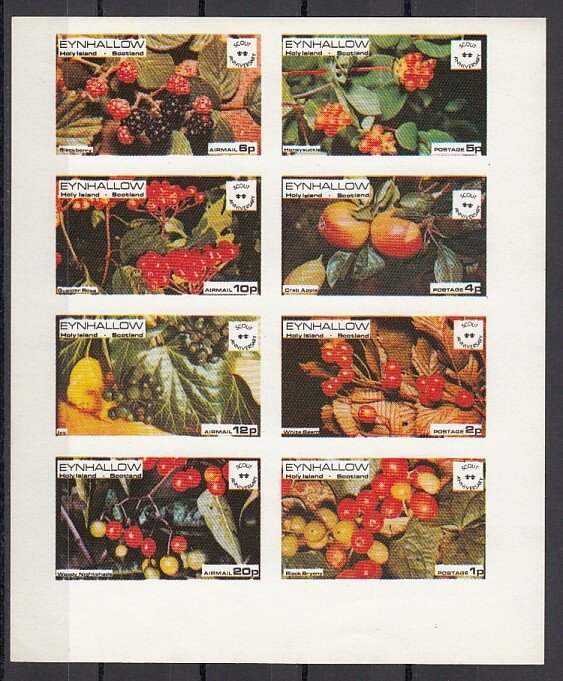 Eynhallow, 1974 issue. Fruits & Berries sheet. Scout Anniversary noted. IMPERF.