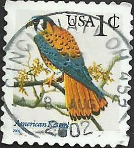 # 3031A USED AMERICAN KESTREL