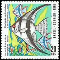 BRAZIL 1969 - Scott# 1129 Fish Set of 1 NH