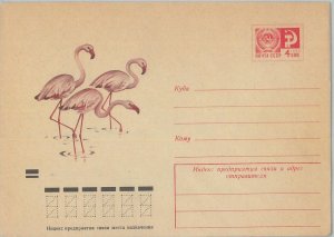 75715 - RUSSIA - POSTAL HISTORY -  Picture STATIONERY COVER  Birds 1973 Flamingo