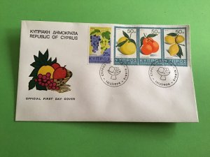 Cyprus First Day Cover Grapes Oranges Grapefruits Lemons 1974 Stamp Cover R43155