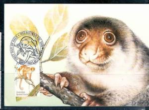 Spotted Cuscus, Wildlife, Animal, Mammal, Australia - Indonesia Joint Issue M...