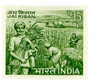 India, Scott #444, Mint, Never Hinged