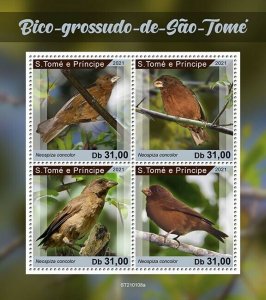 Sao Tome & Principe Birds on Stamps 2021 MNH Sao Tome Grosbeak 4v M/S