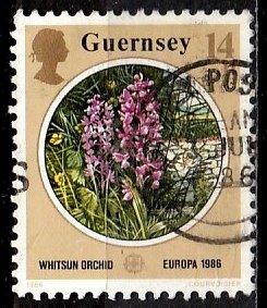 Guernsey 1986 SG. 367 used (10819)